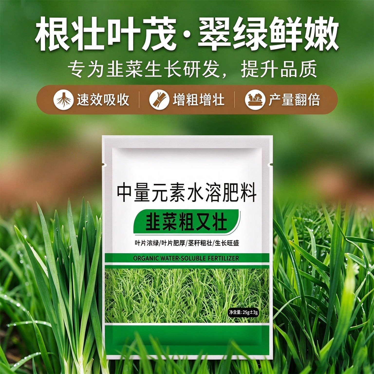 韭菜专用生根壮苗高产叶面肥