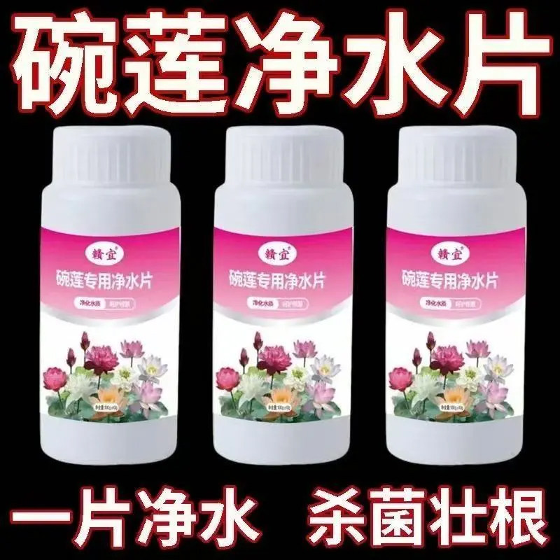 水培植物净水片鲜花保鲜
