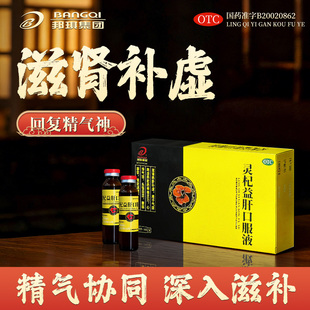 灵杞益肝口服液滋肾养肝补虚补品健脾益肾安神健忘失眠熬夜抗疲劳