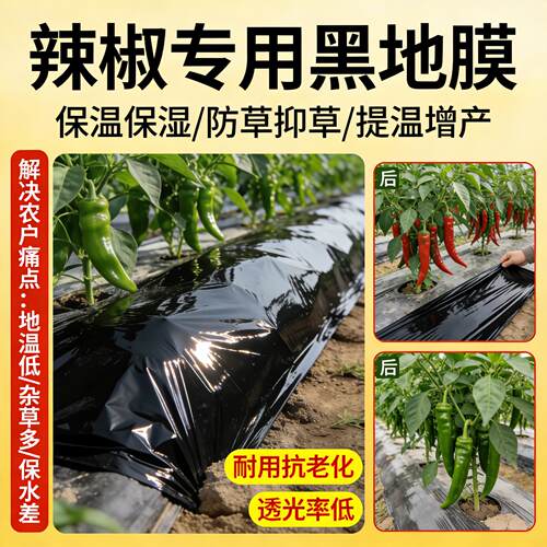 辣椒专用黑色地膜加厚农用种植新型盖菜防草布一次性黑膜塑料薄膜