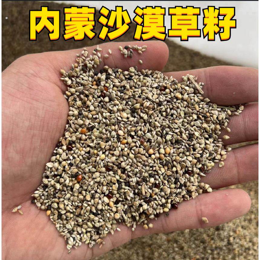 虎皮鸟食野生草籽芙蓉鸟鹦鹉珍珠文鸟玄凤玉鸟十姐妹混合粮玄凤