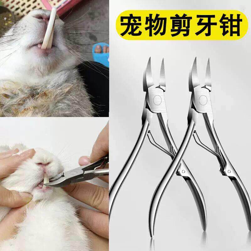 兔子用品大全剪牙钳宠物仓鼠剪牙齿指甲剪新手断牙器猫狗剪牙器