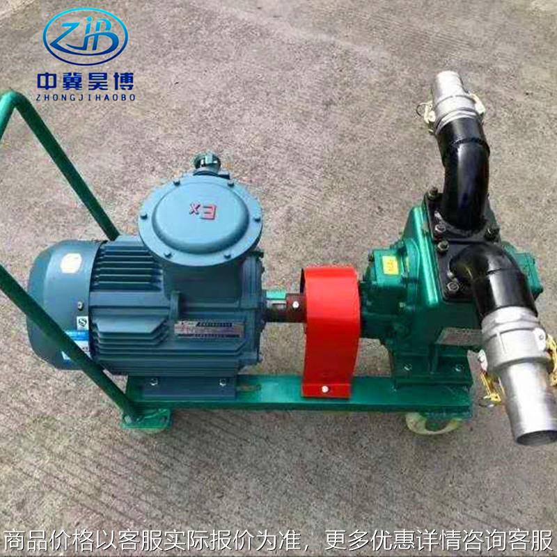 供应8-0.6型耐用增压燃油泵 卧式耐高温气动齿轮泵粘稠液体