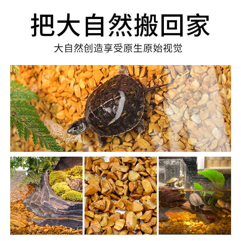天然木纹石鱼缸装饰石铺面乌龟晒台龟缸底砂铺底专用造景石造景砂,宠物/宠物食品及用品,造景/装饰,淘宝优惠券,粉丝福利购,淘宝优惠卷
