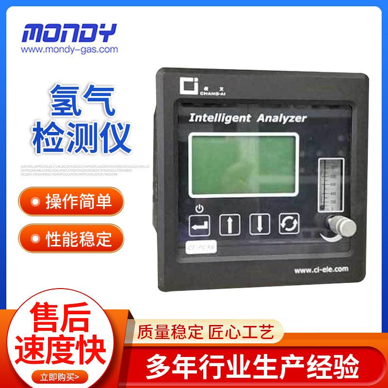 工业微氧仪纯化设备检测仪CL-PC56氢气分析仪在线监测氢气分析仪
