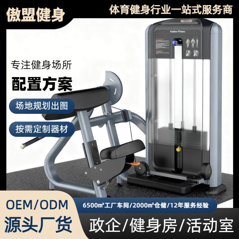 45度二头肌45度三头肌大飞鸟大腿内外侧一体机单双杠训练器器械