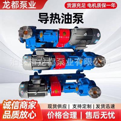 RY100-65-315A导热油泵/锅炉循环泵/耐高温热油泵350摄氏度