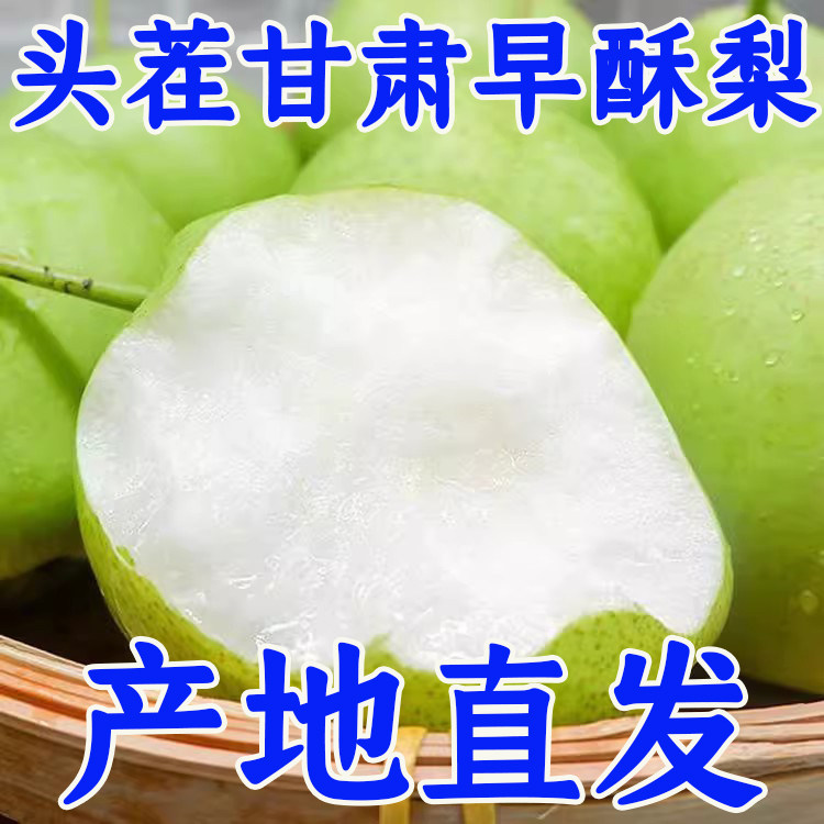甘肃早酥梨当季现摘现发脆甜多汁