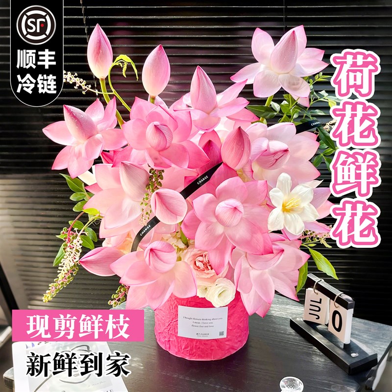 顺丰次日达荷花鲜花花束真花花卉鲜花云南基地直发家用插花鲜切花