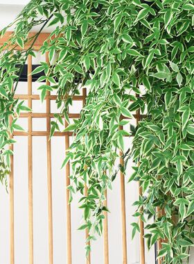 仿真植物南天竹橄榄叶壁挂吊顶挂墙假绿植藤条蔓垂吊暖气管道装饰