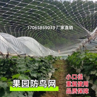 果园防鸟罩防护网果树葡萄园防乌用蔬菜园地种农用小鸟保护防雹爆