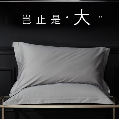加大枕套大尺寸50x80单个大号60x90一只装宾馆酒店专用特大枕头套