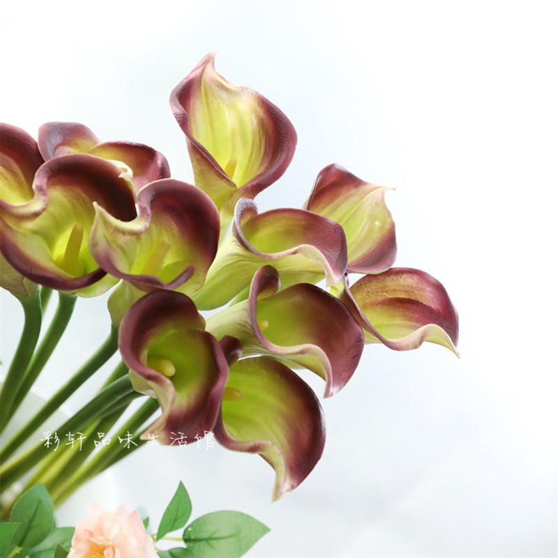 仿真马蹄莲手感短迷你海芋插花瓶家居假花绢花摆放