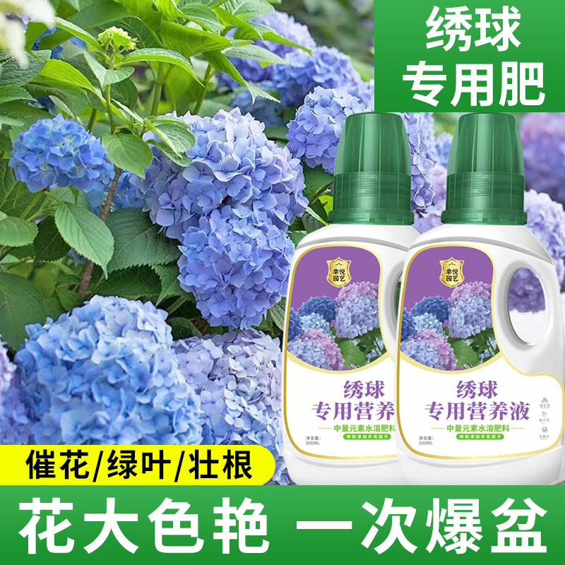 绣球花肥营养液花肥开花催花促花肥施肥绣球花溶液体肥