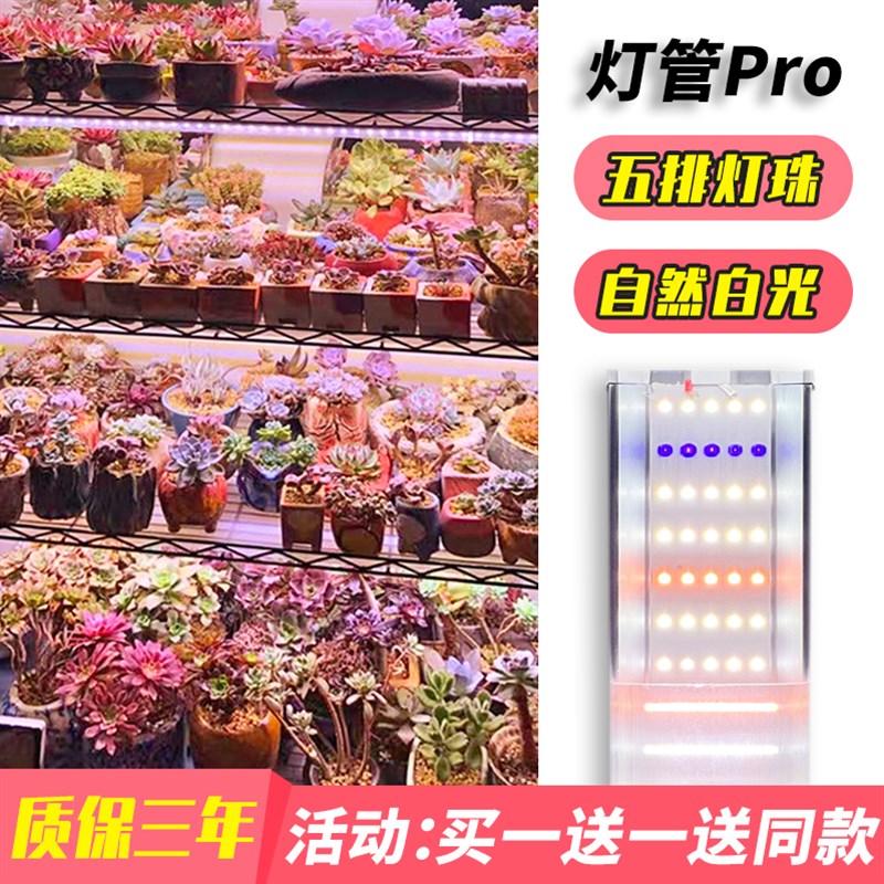 星锐全光谱多肉补光灯 仿太阳光 家用上色LED植物生长灯UVA紫外线