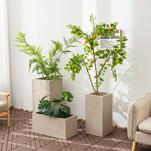 宝诗格正方形水泥花盆大镁泥花盆户外阳台种植箱家用