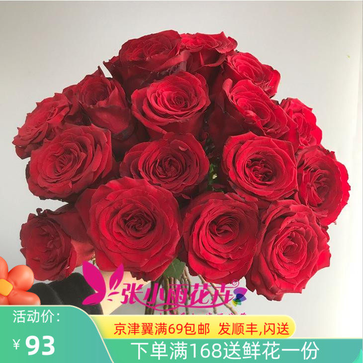 红佛玫瑰鲜花正红色情人节鲜花速递花期长花形好枝装