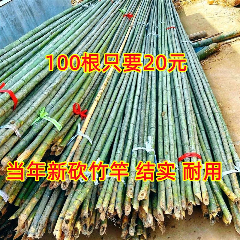 竹杆装修竹菜园搭架竹户外旗杆篱笆围栏竹竿架黄瓜豆角爬藤菜架
