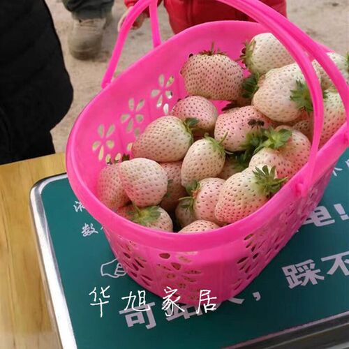 草莓采摘篮子鸡蛋水果塑料手提蓝莓樱桃葚杨梅无花果包装篮