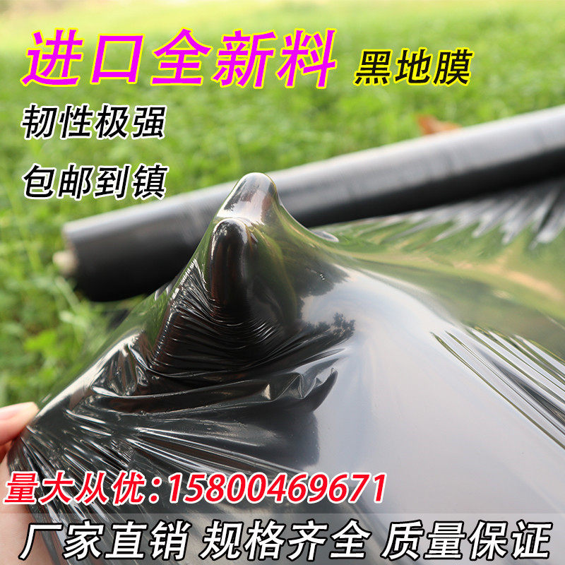 黑地膜除草膜农用加厚薄膜黑膜保温保湿蔬菜果园银黑双色