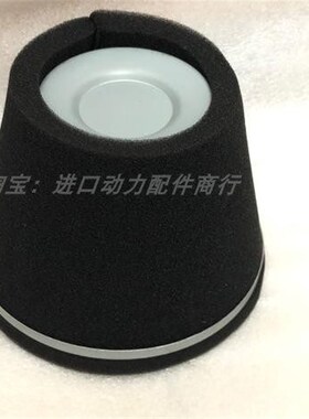 RGV6100 SGV6000 RGV6000 SGX5500罗宾发电机空滤空气滤清器滤芯