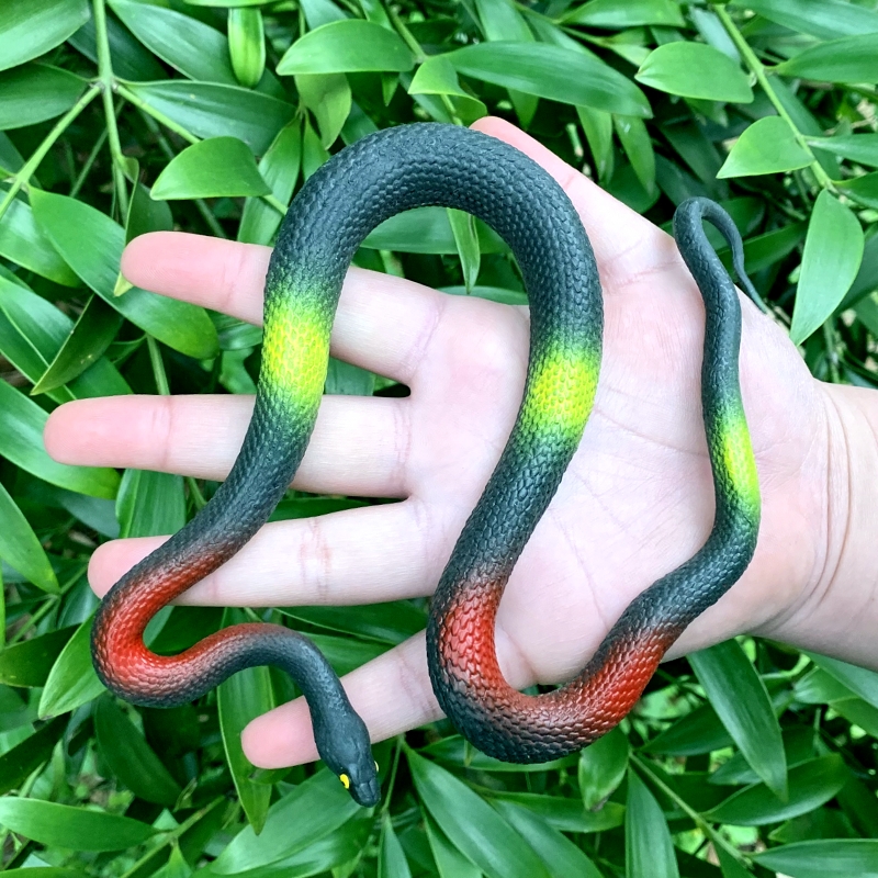 软胶仿真小蟒蛇可爱吓人儿童过家家认知玩具假蛇爬行动物模型摆件