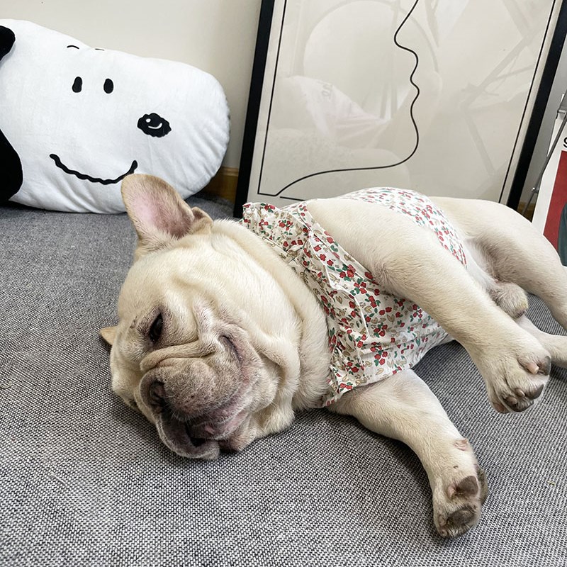 法斗衣服夏季薄款宠物背心碎花柯基巴哥博美雪纳瑞狗狗裙子纯棉