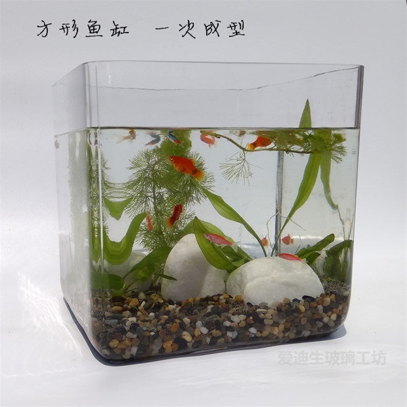 正方形玻璃鱼缸 无粘接办公桌面小鱼缸 简约水草缸超白玻璃乌龟缸