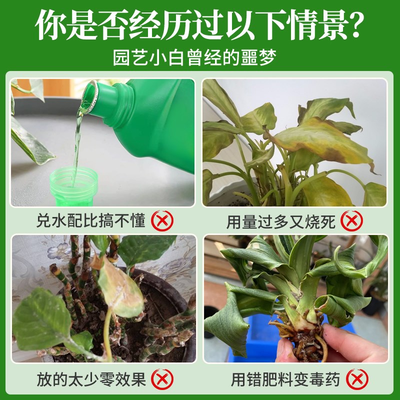 万年青营养液免稀释黄叶万年青肥料专用肥料盆栽水溶肥液体肥