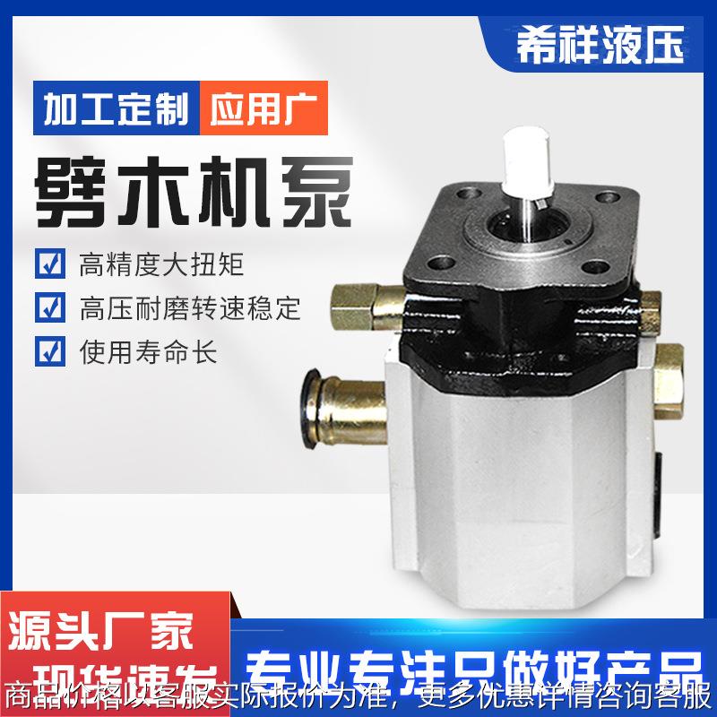 树墩劈木机泵 卧式劈木机泵 1011121316