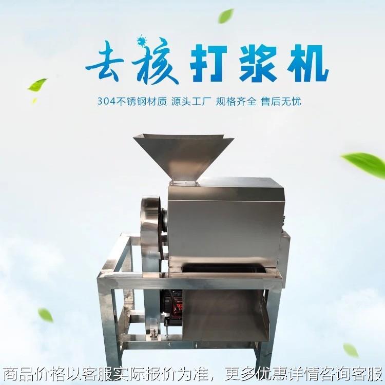 商用不锈钢单道去皮打浆机 枇杷自动去核机 油桃芒果红枣脱核机