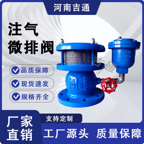 供应GA注气微排阀 注气微量复合排气阀  法兰注气微排阀