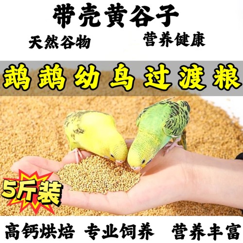 【鹦鹉鸟粮】鸟粮鹦鹉饲料中小型虎皮玄凤带壳小米食物带壳黄谷子