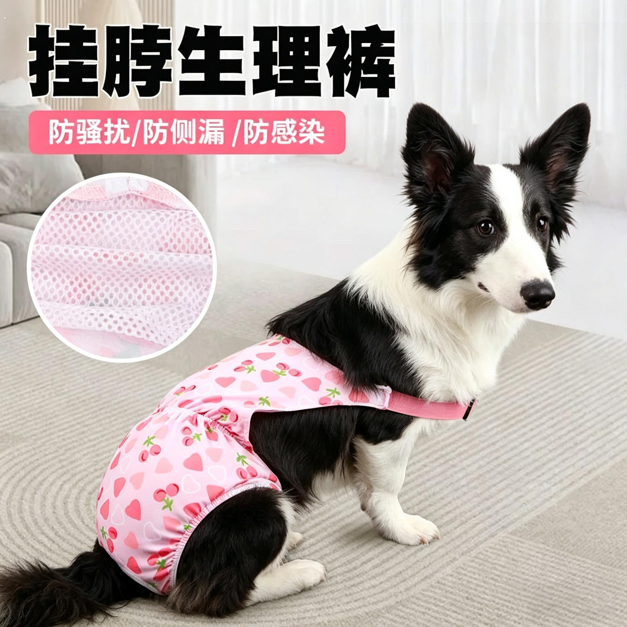 边牧专用狗狗生理裤狗宠物母狗生理期安全裤可排泄防交配裤大型犬