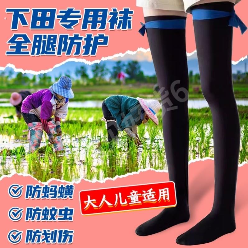 下田插秧袜子女水田栽秧专用水袜插田脚套儿童防蚂蟥脚袜长袜加厚