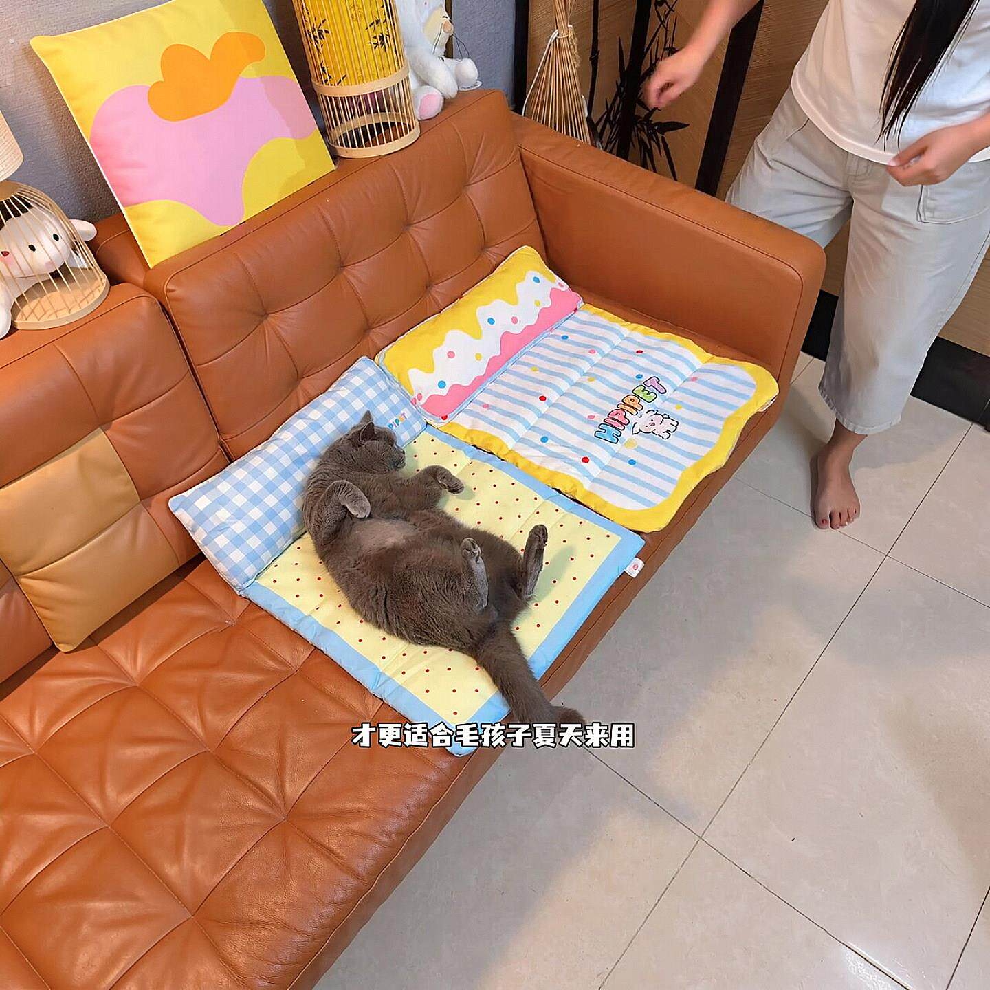猫咪清凉趴趴垫夏季凉感宠物睡垫不粘毛可水洗降温沙发冰垫防滑