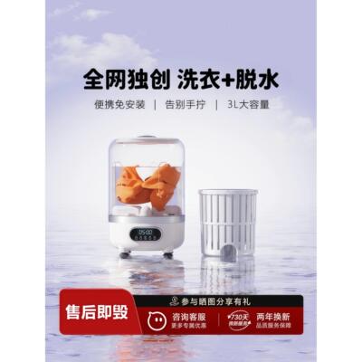 德国洗衣杯洗脱一体洗衣机小型无线便携式内衣裤清洗机洗袜子机