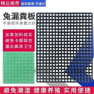 兔子脚垫防啃咬漏粪板荷兰猪龙猫豚鼠笼子垫子网格防卡脚笼子底垫