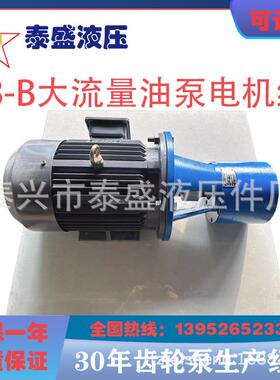CB-B160JZ低噪音大流量齿轮油泵TXLB-250JZ200400电动电机组500