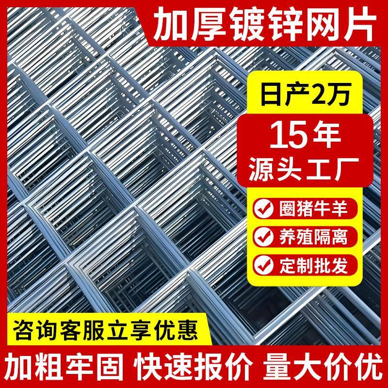 建筑钢筋网片鸽舍鸡狗笼加粗养殖铁丝网片水泥地防裂网镀锌钢丝网