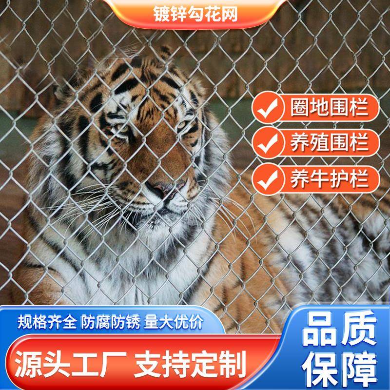 镀锌铁丝网养殖围栏网户外防护网养殖围栏网户外防护网养殖围栏网