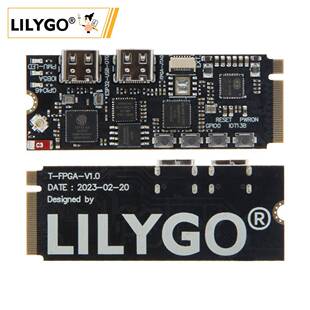 GW1NSR FPGA 低功耗微控制器开发板 ESP32 LILYGO®
