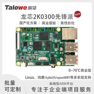 [官方]龙芯2K0300先锋派国产开发板/工控板/评估板LA架构单核鸿蒙