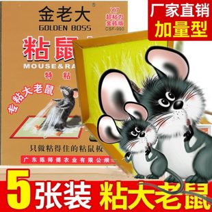 陈师傅金老大粘鼠板超粘力加厚加量家用诱饵专粘大老鼠一窝端