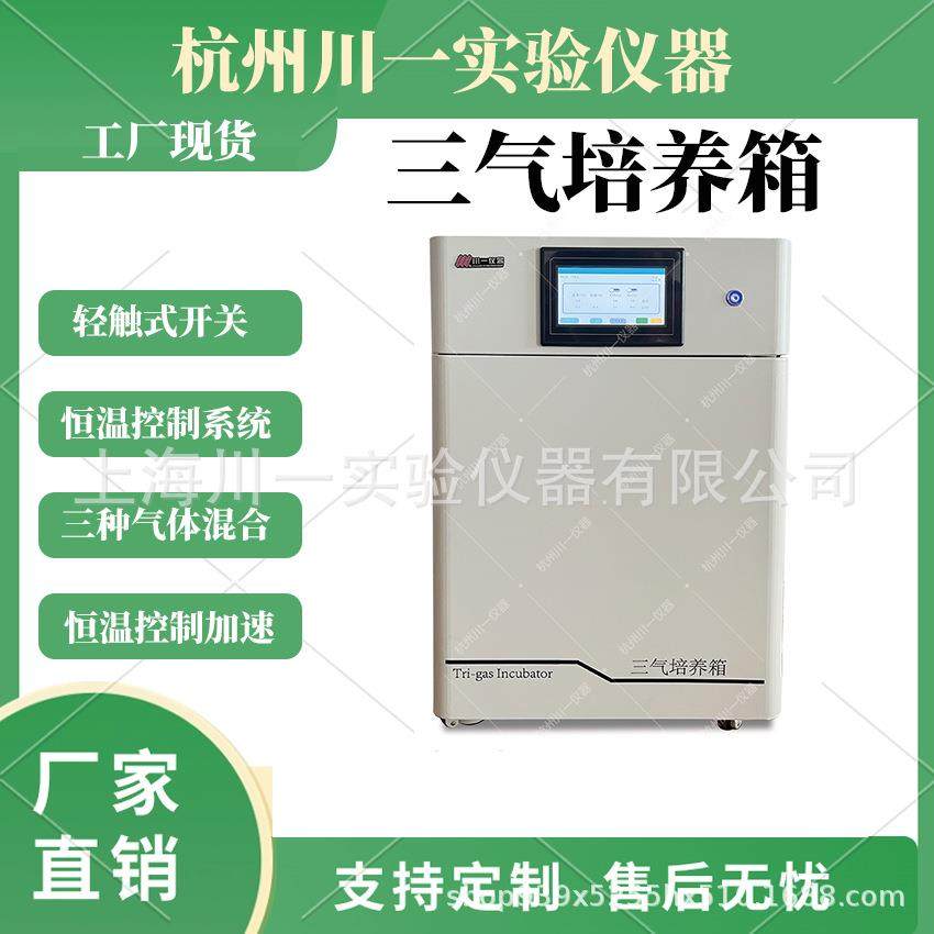 CYSQ-50-III小型智能低氧细胞培养箱多种气体培养箱