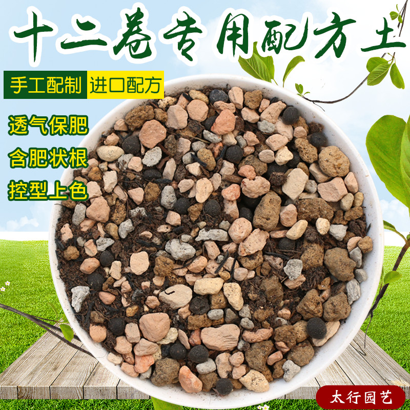 多肉颗粒玉露十二卷配方土万象寿玉扇生石花屁屁肉锥营养土