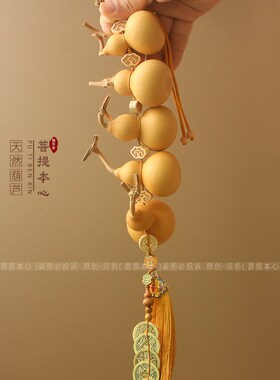 五福临门五帝钱葫芦挂件乔迁新居大门客厅玄关天然葫芦串挂饰摆件