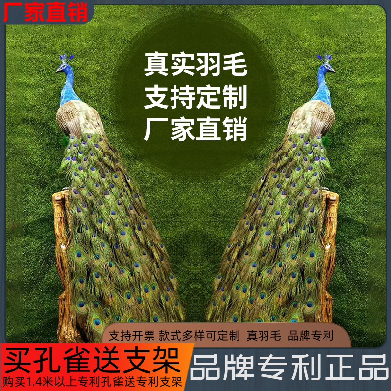 羽毛手工仿真孔雀开屏孔雀标本家居田园林橱窗落地品