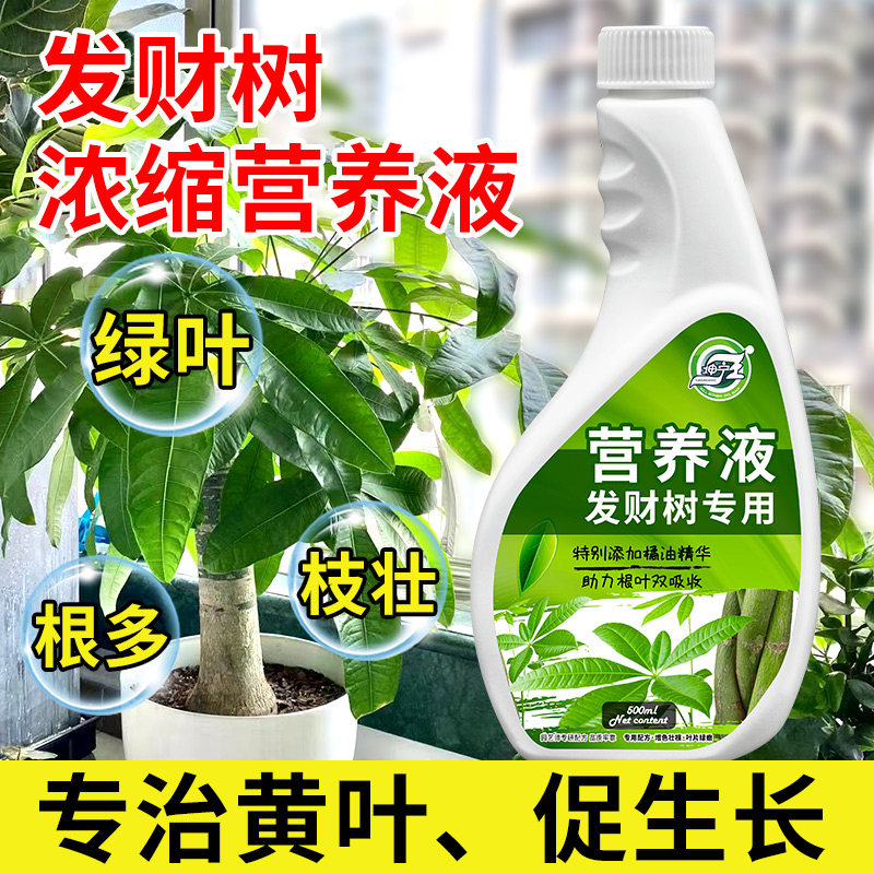发财树营养液肥黄叶枯掉叶烂根药复活液生根肥