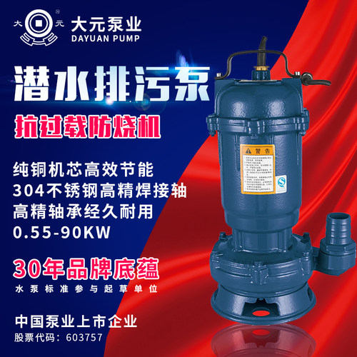 大元铸铁污水泵工地工程无堵塞排污泵潜污泵化粪池抽粪泵单相三相